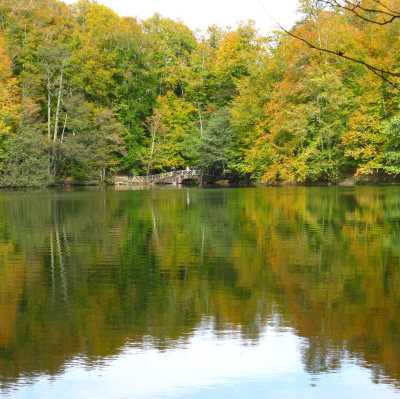 Yedigöller Milli Parkı